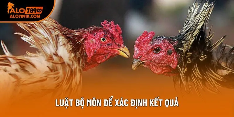 Luật bộ môn để xác định kết quả